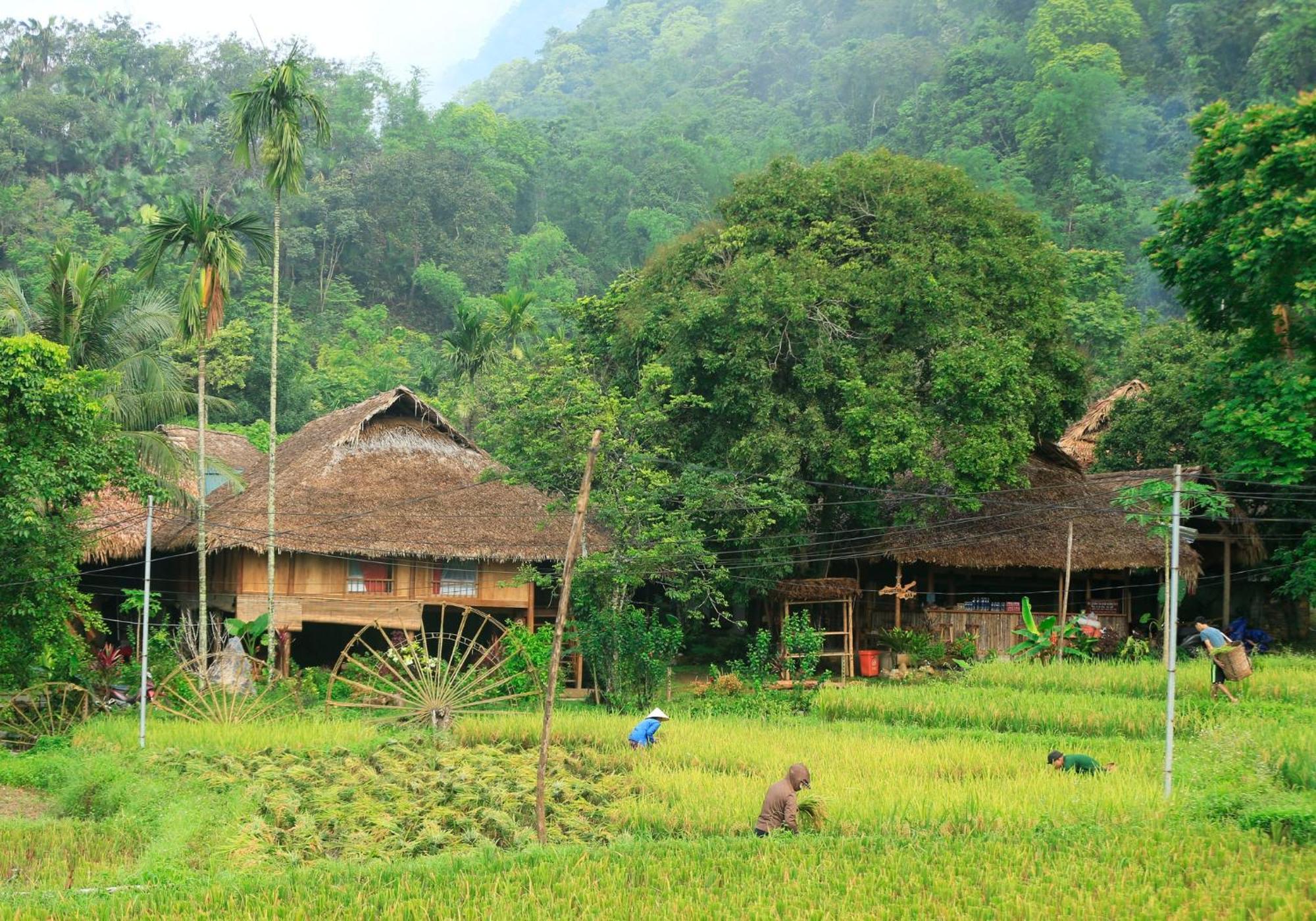 Thai House Pu Luong - Century Old Stilt House With Terrace Views Huong Ba Thuoc Εξωτερικό φωτογραφία